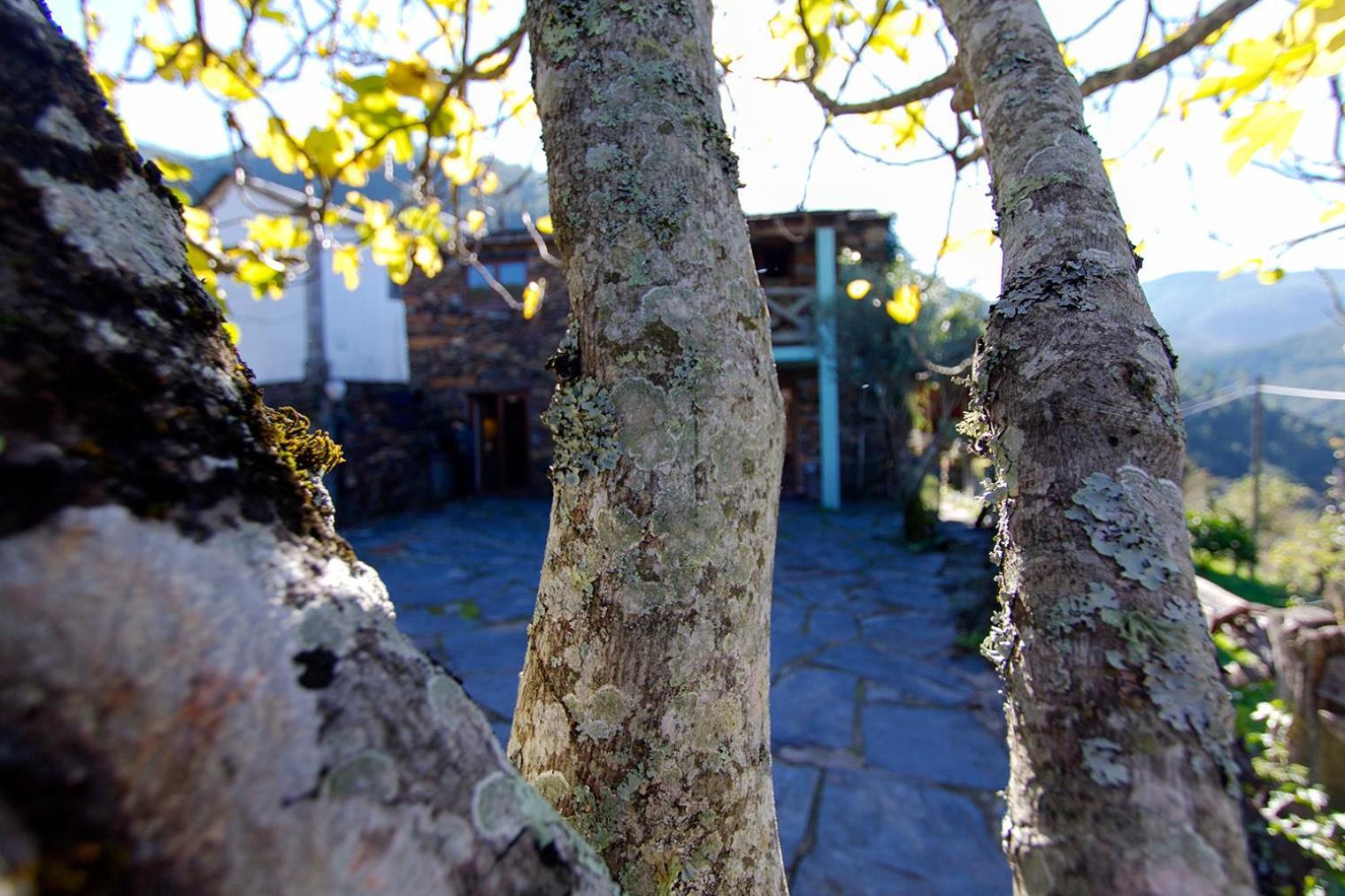 Casa Da Figueira - Rio Paiva Arouca Exterior foto